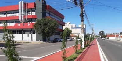 Plantio de árvores é realizado na Avenida José Loureiro da Silva em Camaquã