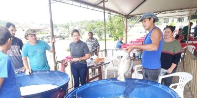 Produtores e expositores da Feira do Peixe Vivo contentes projetam boas vendas em Mariana Pimentel