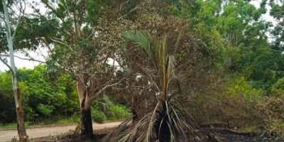 Prefeitura de Arambaré reforça proibição por lei de acampamentos na orla da praia