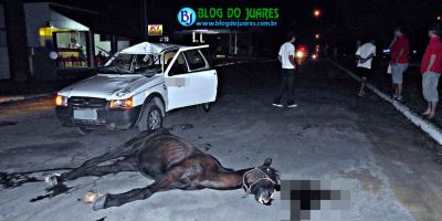 SMI emite nota sobre cavalos soltos em via pública em Camaquã