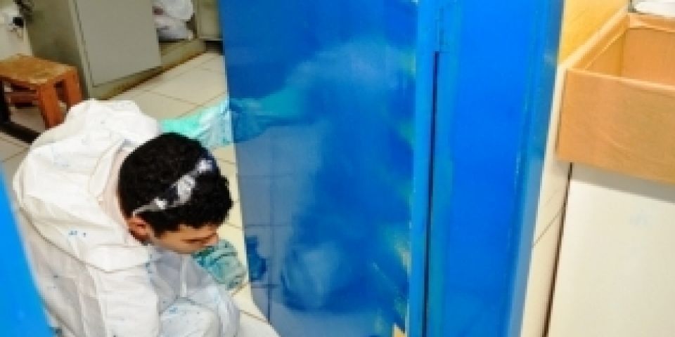 Parceria entre Susepe e prefeitura de Pelotas viabiliza trabalho a apenados