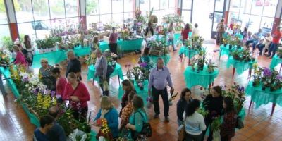 Segundo dia da 28ª Feira de Orquídeas acontece neste domingo em Camaquã