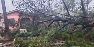 FOTOS: chuva com ventos fortes deixa Camaquã sem serviços de luz, internet e telefonia