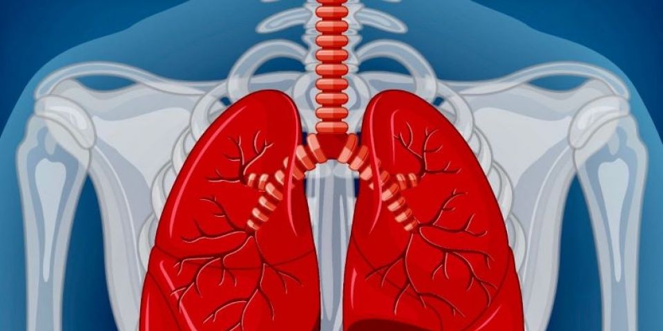 Brasil faz 1º autotransplante de pulmão em paciente com câncer metastático