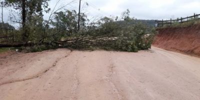 Equipes da Prefeitura de Cerro Grande do Sul trabalham para amenizar estragos do ciclone    