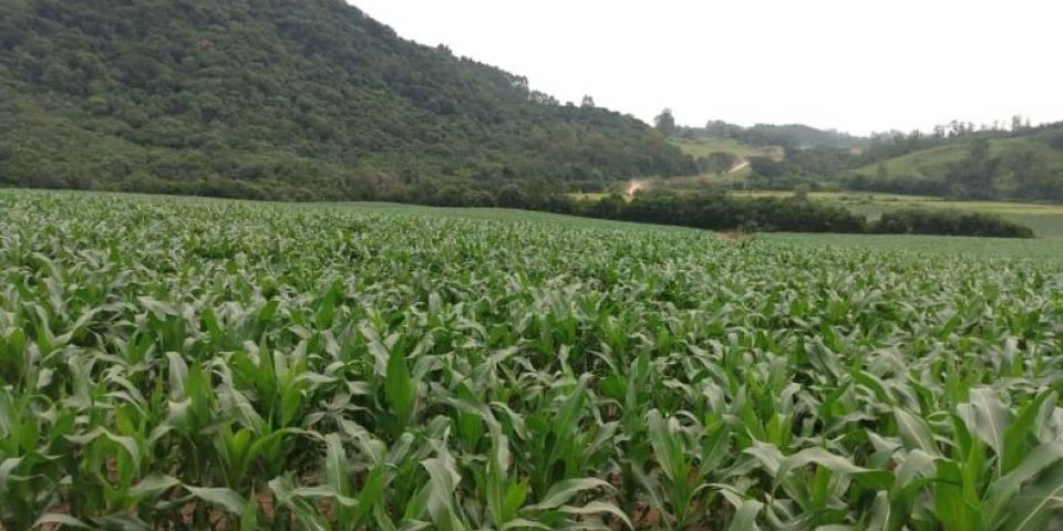 Acesso ao Crédito Rural é destaque em Sertão Santana
