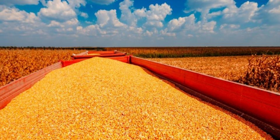 Produção de grãos deve crescer 17,4% na safra 2022/2023