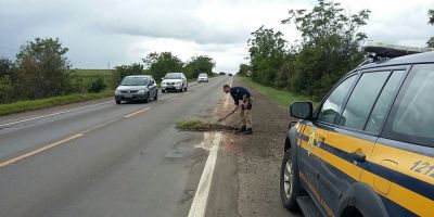 Polícia Rodoviária Federal emite alerta para risco nas BRs 290 e 116