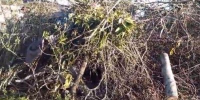 Morador denuncia falta de limpeza de entulhos e lixos na praça do bairro Dona Tereza, em Camaquã