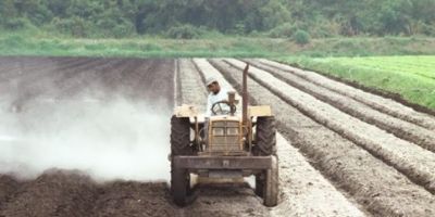 Programa do calcário para produtores camaquenses