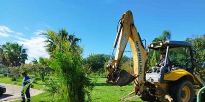 Novas plantas ornamentais são colocadas em praças de Camaquã