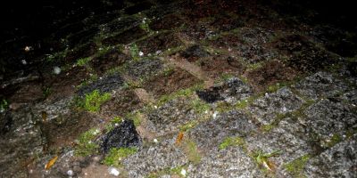Queda de granizo e bastante chuva em São Lourenço do Sul