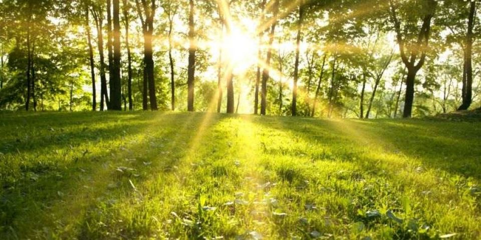 Primavera começa às 3h50 deste sábado (23)