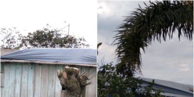 Prefeitura de Tapes entrega lonas às famílias atingidas pelo temporal