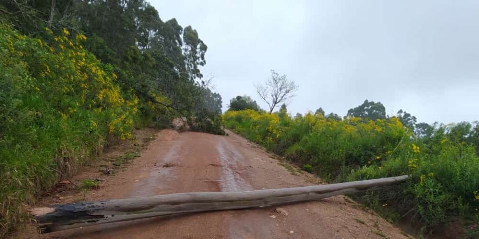 Moradores de Camaquã e Dom Feliciano enfrentam dias de falta de energia elétrica