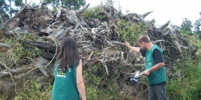 Camaquã - SMMA intensifica fiscalização contra desmatamento irregular