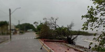 Temporal causa estragos em São Lourenço do Sul e orla das praias são as áreas mais afetadas