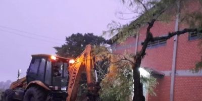 Após chuva forte, árvore tomba em frente a ginásio de escola municipal em Amaral Ferrador