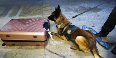 PF prende duas mulheres no Aeroporto Salgado Filho em Porto Alegre  