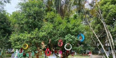 Escolas municipais de Camaquã relizam decoração natalina       