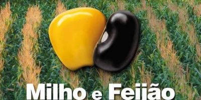 Programa de diversificação será renovado na Região Sul do País