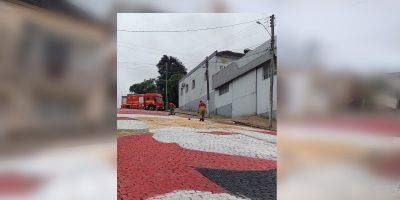 Bombeiros de Camaquã realizam limpeza no "Papai Noel da Lomba"  