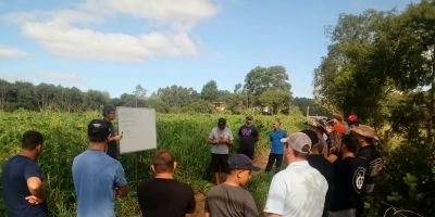 Agricultores de Cerro Grande do Sul utilizam resíduos de serragem para preservação do solo   