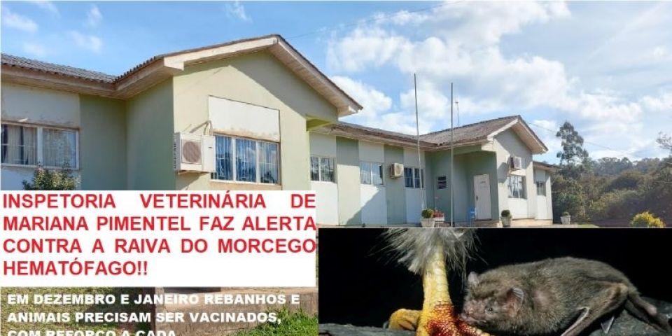 Setor Médico Veterinário de Mariana Pimentel faz alerta dos cuidados quanto a raiva espalhada pelo morcego hematófago