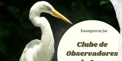 Inauguração do Clube de Observadores de Aves de São Lourenço do Sul acontece nesta quarta (13)