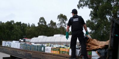 Receita Federal apreende carga de agrotóxicos contrabandeados em Jaguarão