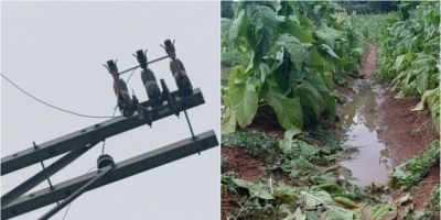 Temporal provoca alagamentos, falta de energia e danos em plantações em Dom Feliciano