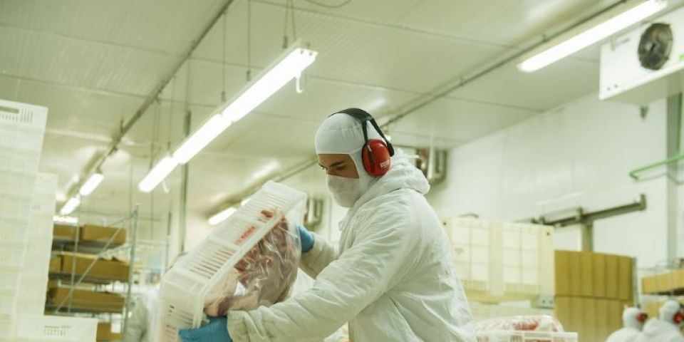 Exportações de carne de frango crescem 20,9% em dezembro e setor registra recorde em 2023