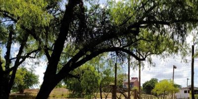 Obras no Balneário do Salso avançam para o Campeonato Praiano em Amaral Ferrador