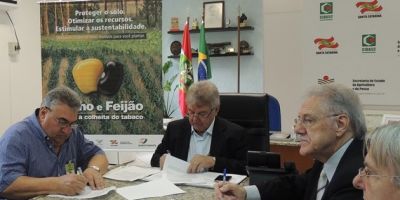 Plantio de Milho e Feijão será incentivado em Santa Catarina