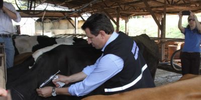Segunda etapa de vacinação contra febre aftosa começa neste domingo