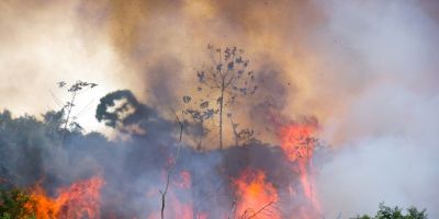 Mais de 17,3 milhões de hectares foram queimados em 2023 no Brasil