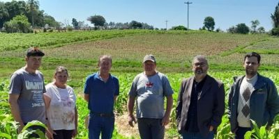 Programa Nacional de Crédito Fundiário ajuda agricultores no interior de Camaquã     