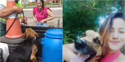 Cão abandonado na BR-116 é adotado com auxílio da Ecosul