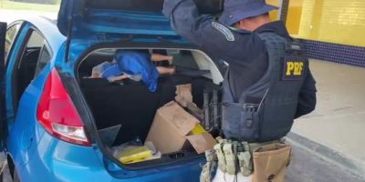 PRF realiza apreensão de 47 kg de drogas em carro na BR-116      