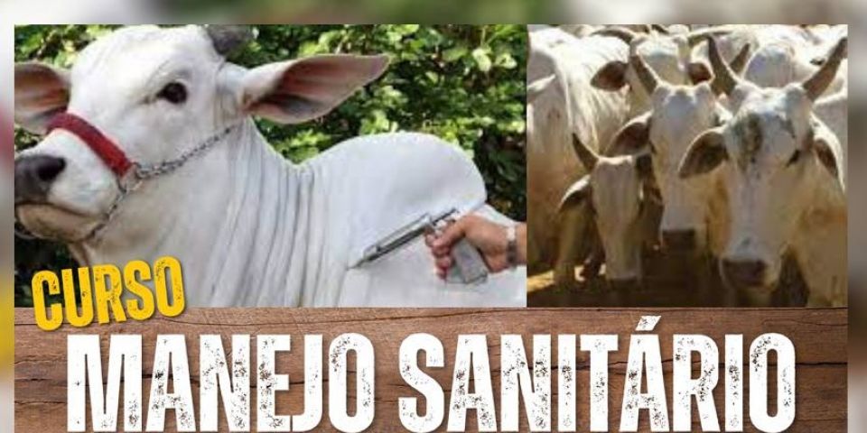 Abertas inscrições para o curso de manejo sanitário de bovinos de corte em Mariana Pimentel