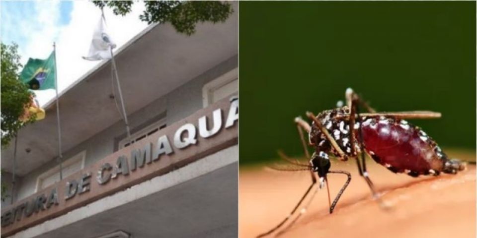 Mutirão de combate à dengue vai acontecer neste sábado (9) em Camaquã