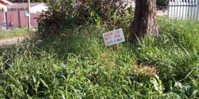 Morador reclama da falta de limpeza da praça do bairro Dona Tereza em Camaquã