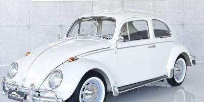 Conheça a história que envolveu uma senhora de 97 anos, um fusca branco e a APAE Camaquã 