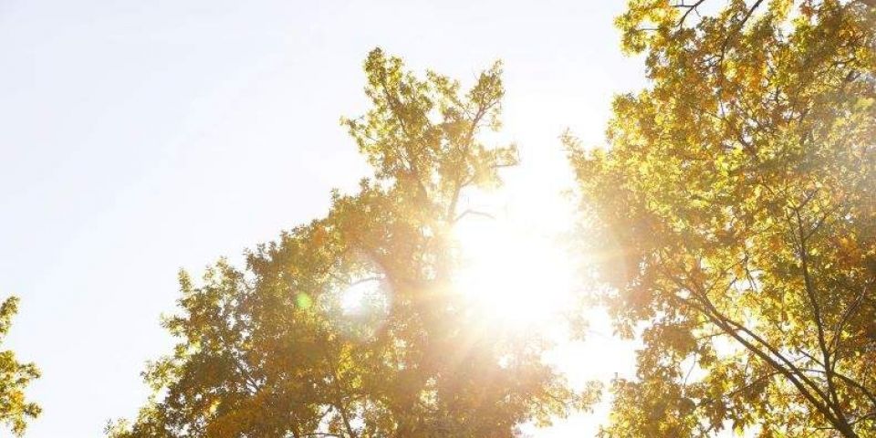 Outono chega com temperaturas acima da média em todas as regiões