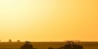 Produtores aproveitam clima favorável e plantam à noite