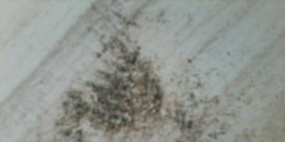 Espaço do Leitor: moradora reclama de empresa de beneficiamento de arroz em Camaquã