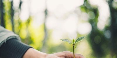 Dia Mundial do Meio Ambiente: entenda o motivo da data ser comemorada nesta quarta (5)  