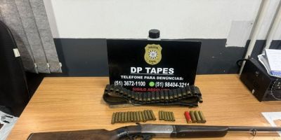 Polícia Civil apreende duas armas de fogo e munições no interior de Sentinela do Sul