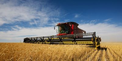 Brasil colherá 297,5 milhões de toneladas de grãos, estima Conab