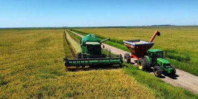 Colheita de arroz se encerra no RS com 7,16 milhões de toneladas do grão